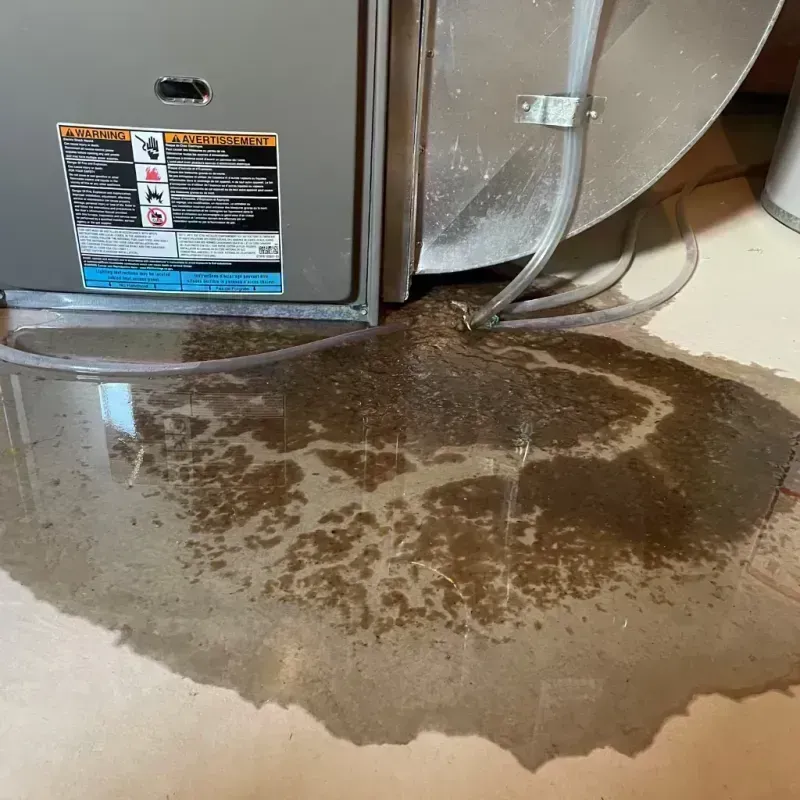 Appliance Leak Cleanup in Jurupa Valley, CA